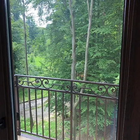 Апартаменти Карпати شقة كارباتي