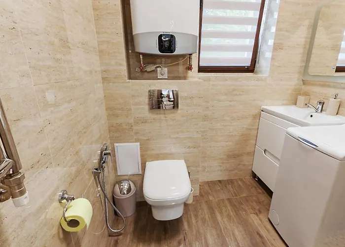 Апартаменти Карпати Apartment *