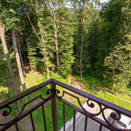 Апартаменти Карпати *